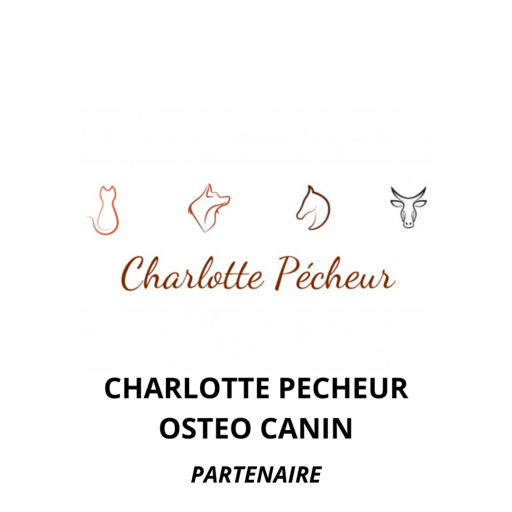 Charlotte Pecheur